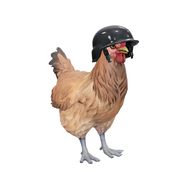 Helmet