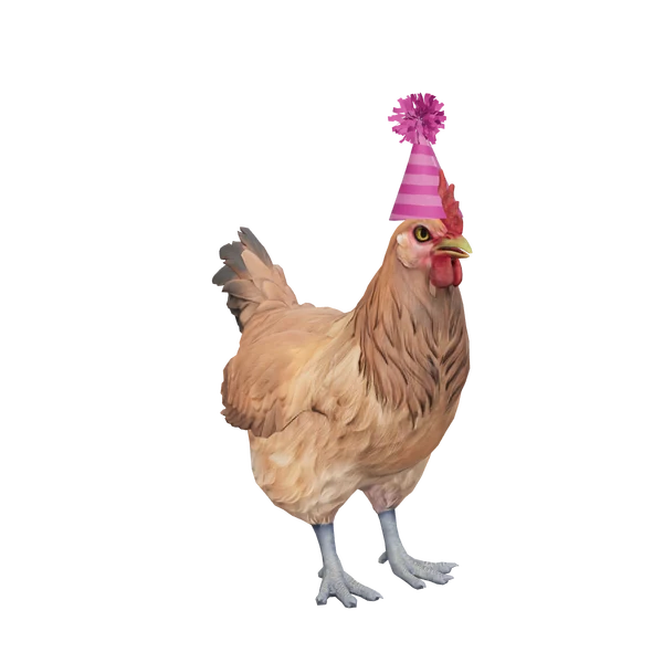 Party Hat