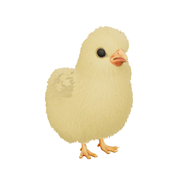 Chick
